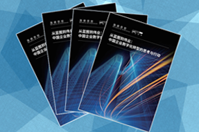 《从蓝图到伟业：中国企业数字化转型的思考与行动》